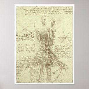 Póster Anatomía Humana Columna Vertebral por Leonardo da