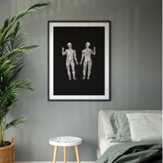 Póster Anatomía humana - El sistema muscular