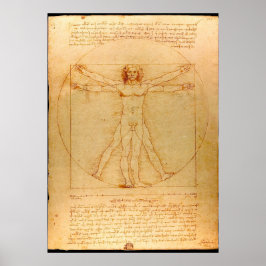 Póster Anatomía humana, hombre vitruviano de Leonardo da 