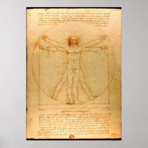 Póster Anatomía humana, hombre vitruviano de Leonardo da 