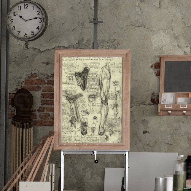 Póster Anatomía humana vintage Laringe Pierna Leonardo da (Subido por el creador)