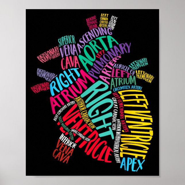Póster Anatomical Heart Design Cardiac Cardiovascular Icu (Frente)