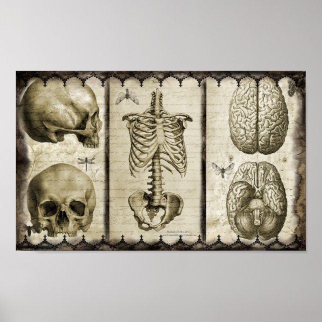 Póster Anatomizar (Frente)