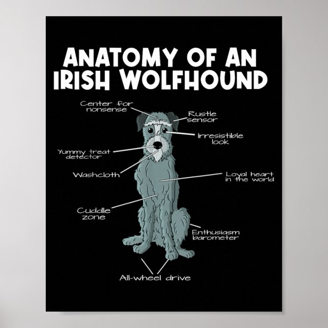 Póster Anatomy Of An Irish Wolfhound  (Frente)