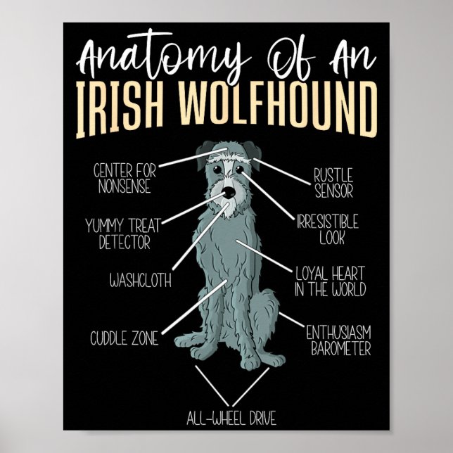 Póster Anatomy Of An Irish Wolfhound  (Frente)