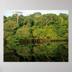 Póster Anavilhanas, Amazonas, Brasil. Río de selva tropic