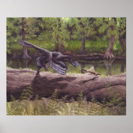 Póster Anchiornis Print