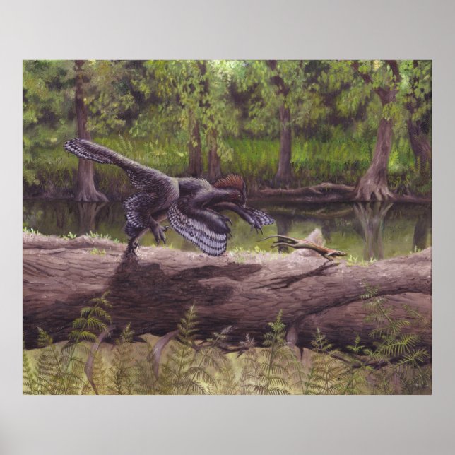 Póster Anchiornis Print (Frente)