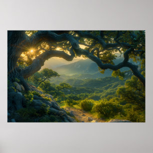 Póster Anciano roble al amanecer