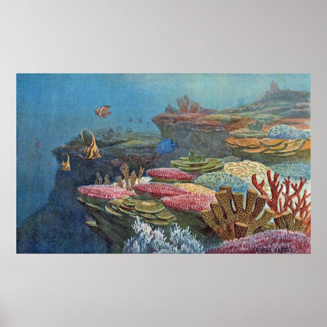 Póster Ancient Sea Coral Antique Print (Frente)