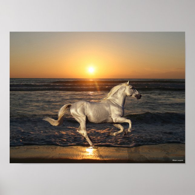 Póster Andalucía Gris En La Playa Por Mar (Frente)