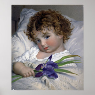 Póster Anderson - Prattling Primrose