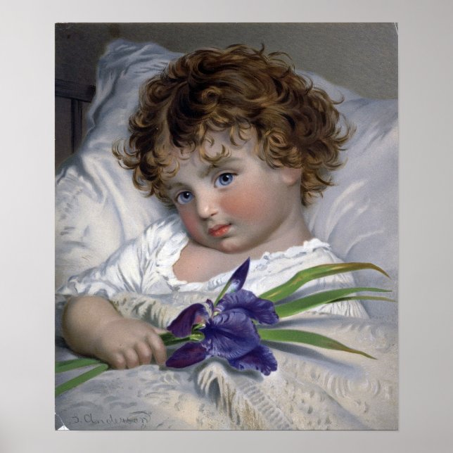 Póster Anderson - Prattling Primrose (Frente)