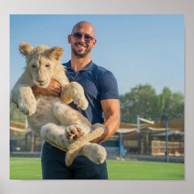 Póster Andrew Tate tiger poster (Frente)