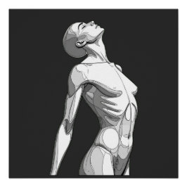 Póster Android Anatomy - High-Definition Glossy Art Poste