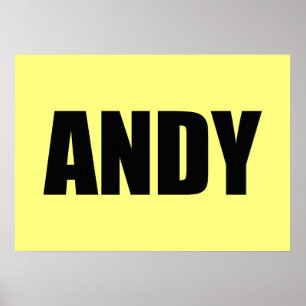 Póster Andy