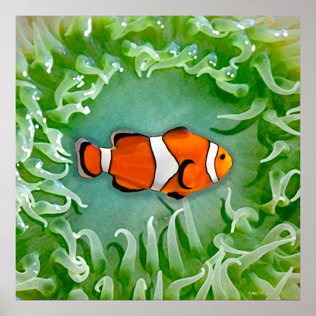 Póster Anemone (Frente)