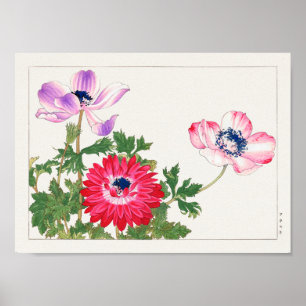 Póster Anemone coronaria por Tanigami Konan