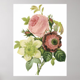 Póster Anemone, Rosa, Clematis