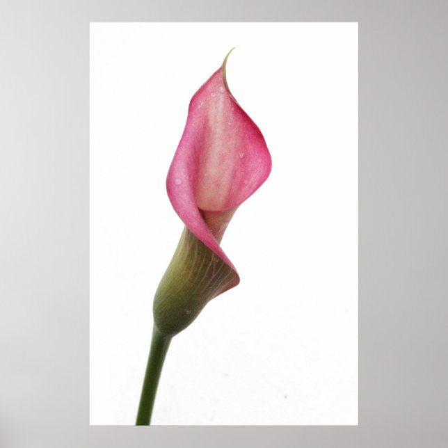 Póster Ángel de la buena noche (Frente)