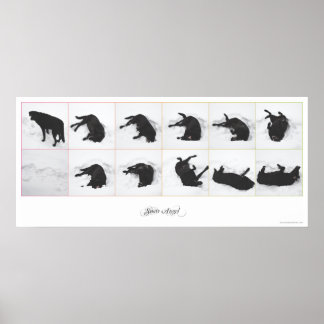 Póster Ángel de la nieve de perro {blanco} Poster 36x16"