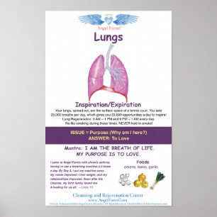 Póster Angel Farms Lung Chart