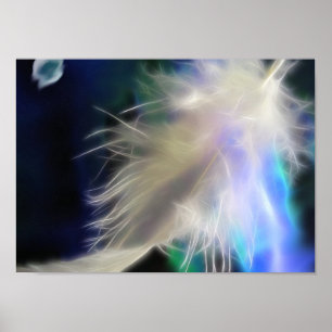 Póster Angel Feather