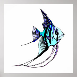 Póster Angel Fish