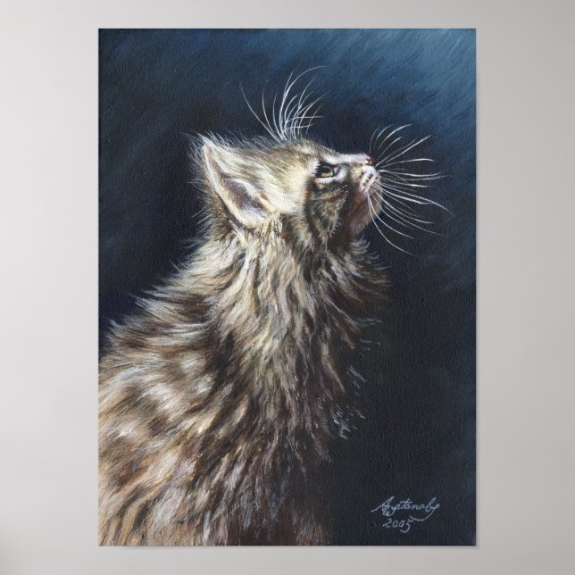 Póster Angel Light Maine Coon Cat Art poster (Frente)