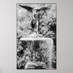 Póster Angel of Central Park NYC