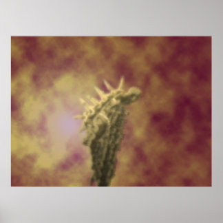 Póster ángel oscuro