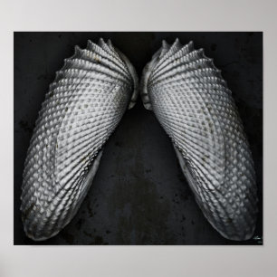 Póster Angel Wings BW