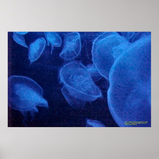 Póster Ángeles de luz