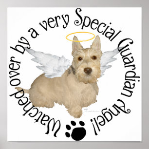 Póster Ángeles Wheaten Scottish Terrier