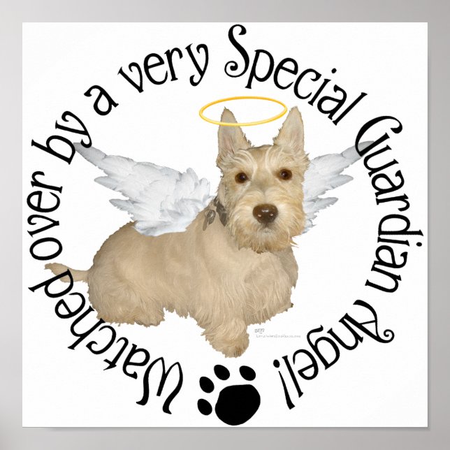 Póster Ángeles Wheaten Scottish Terrier (Frente)