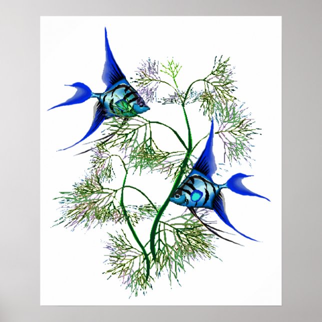 Póster Angelfish azul en plantas (Frente)