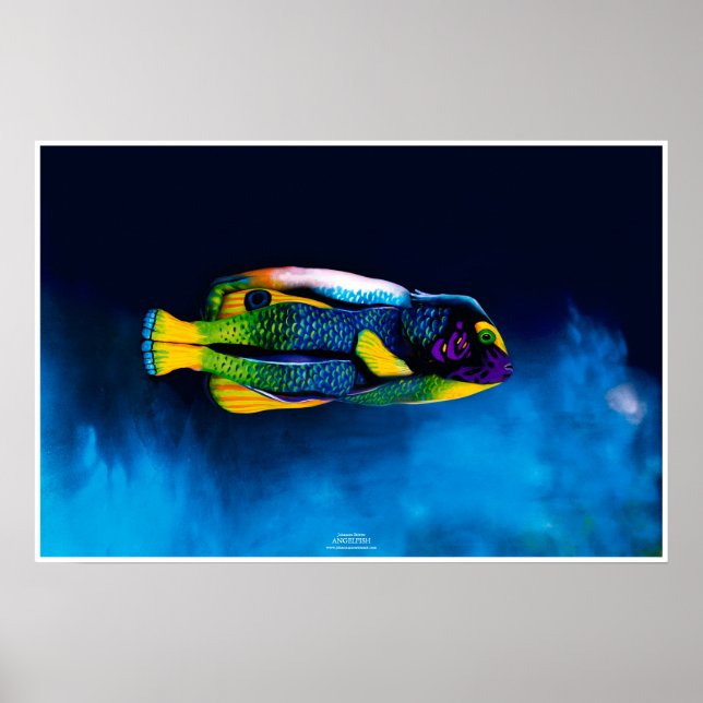 Póster Angelfish de Johannes Stötter (Frente)