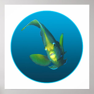 Póster Angelfish - Diseño en fondo azul gradiente