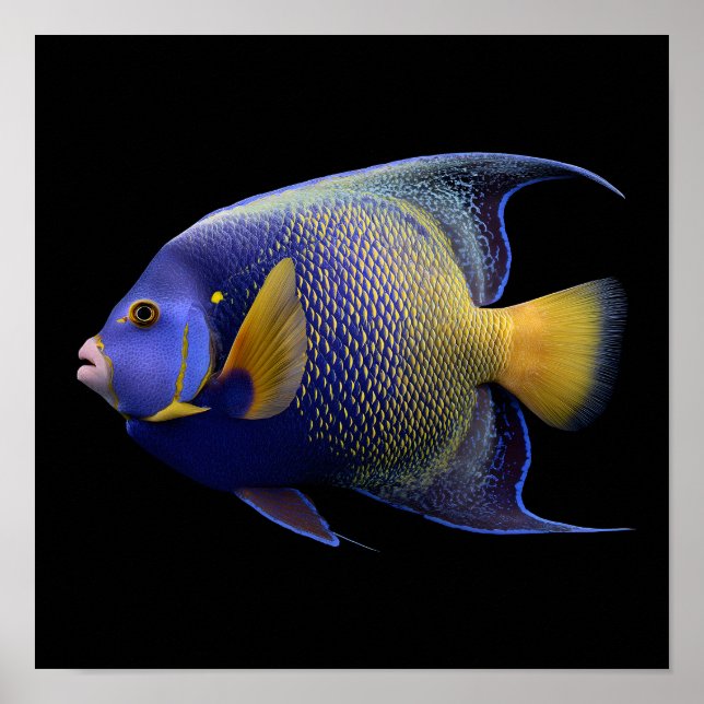 Póster Angelina (Frente)