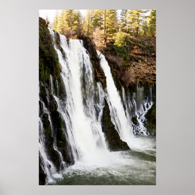 Póster Angels Camp Californias el pueblo más famoso de la (Frente)