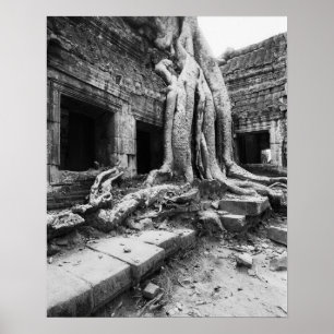 Póster Angkor Cambodia, árbol Ta Prohm