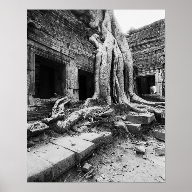 Póster Angkor Cambodia, árbol Ta Prohm (Frente)