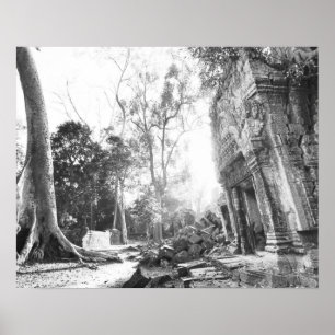 Póster Angkor Camboya, detalles Ta Prohm