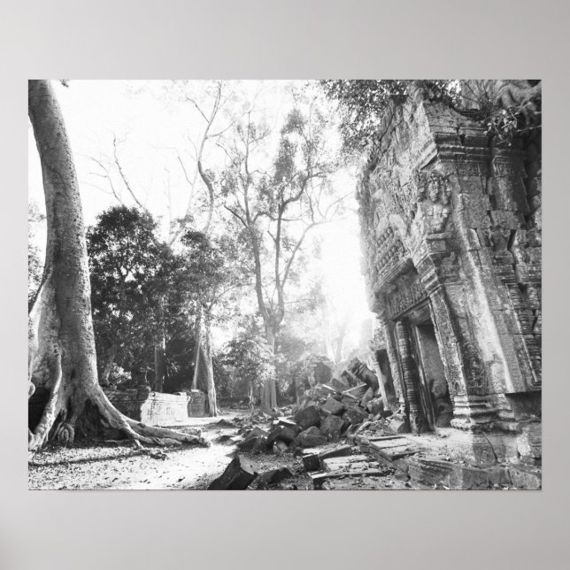 Póster Angkor Camboya, detalles Ta Prohm (Frente)