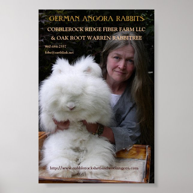 PÓSTER ANGORA ALEMANA RABBIT MAG. AÑADIR. (Frente)