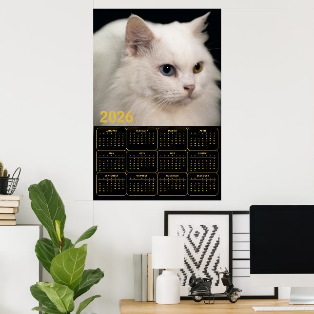 Póster Angora Cat with Heterochromia – 2026 Calendar  (Oficina en casa)