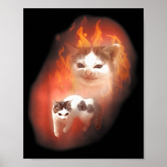 Póster Angry Cat Meme Funny Silly Cat Kitten Lover Humor  (Frente)