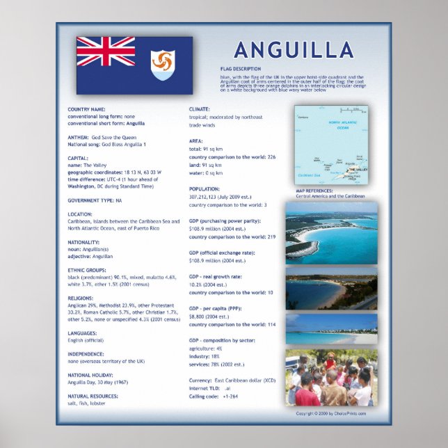 Póster Anguila (Frente)