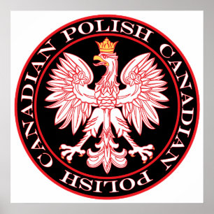 Póster Anguila roja polaca