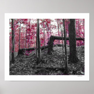 Póster Ángulos rectos